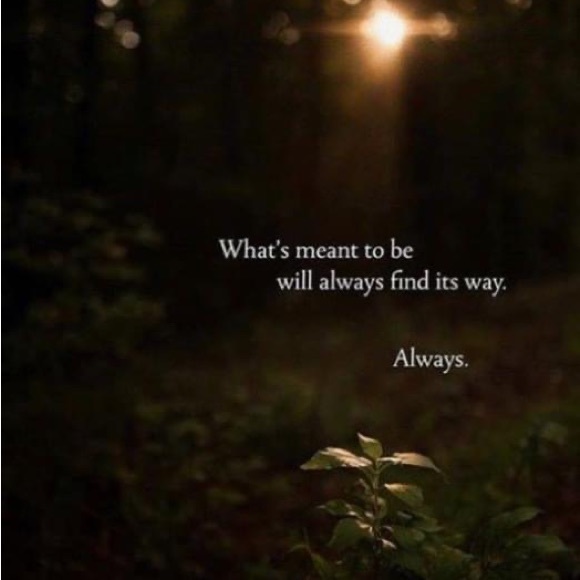 Happy Day!   lol.   😂 - Picture 8 of 16